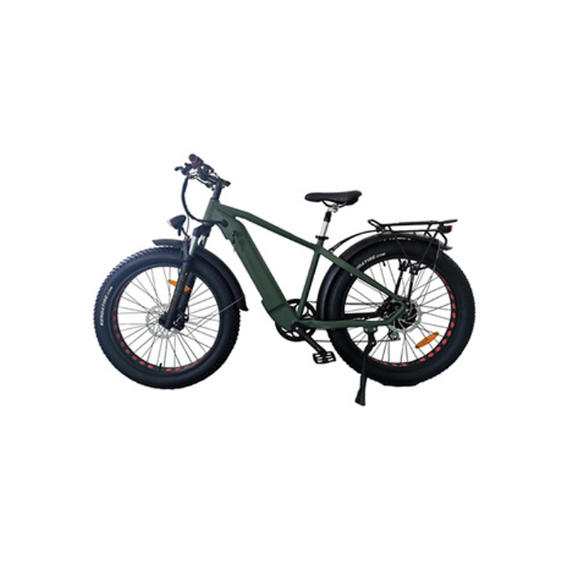 Aluminum Alloy Frame 26*4.0 Fat Tire Electric Bike with Customized Multicolored Design