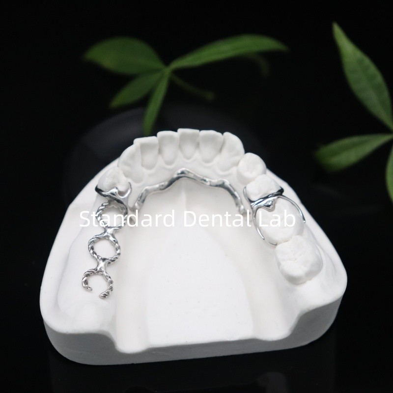 Vitallium 2000 Partial Framework ISO CE And FDA China Dental Lab Metal Framewrok Partial Denture