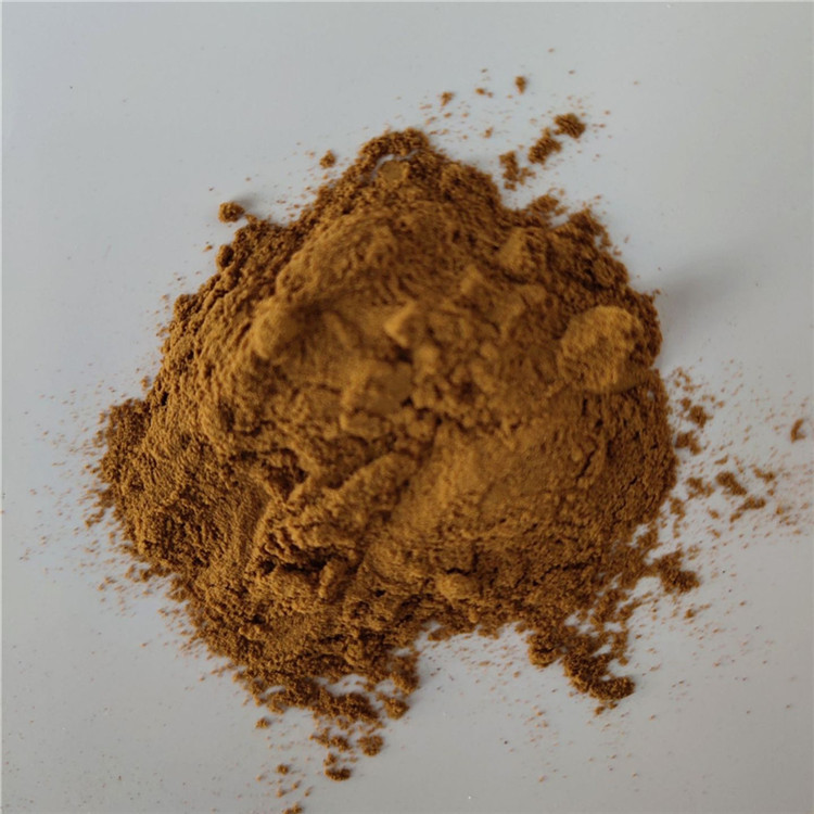 China Herbal Dipsacus Extract For Rheumatism Capsule