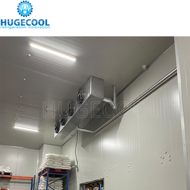 Beef Slaughter Plant Cold Storage Blast Freezer with Stainless Steel Panel