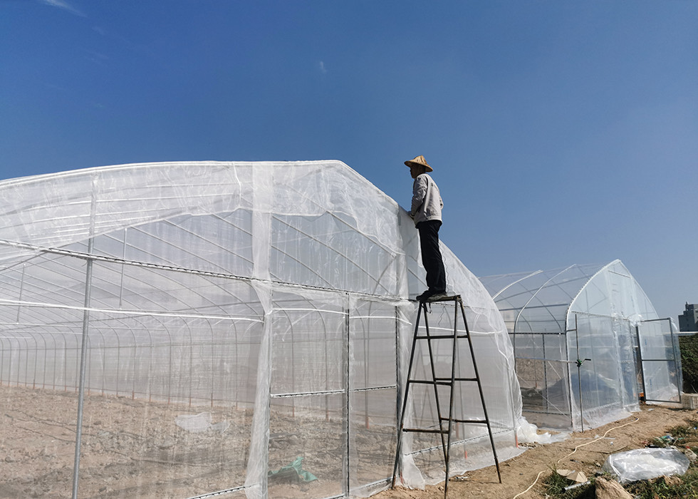 HDPE Insect Net House Galvanized Steel Pipe For Vegetable Seedling Nursery