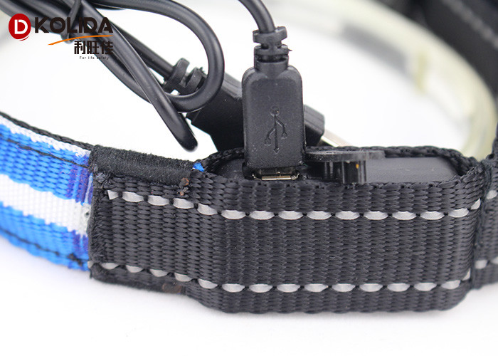 Glow Dog Puppy Usb Rechargeable Flashing Collar Safety Nylon Leash Harness