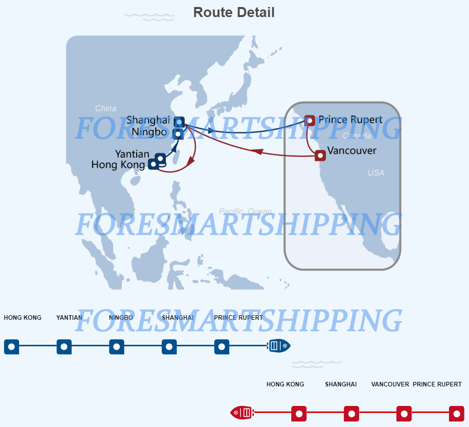 Global Logistics 40FT FCL Container Shipping From China To Canada