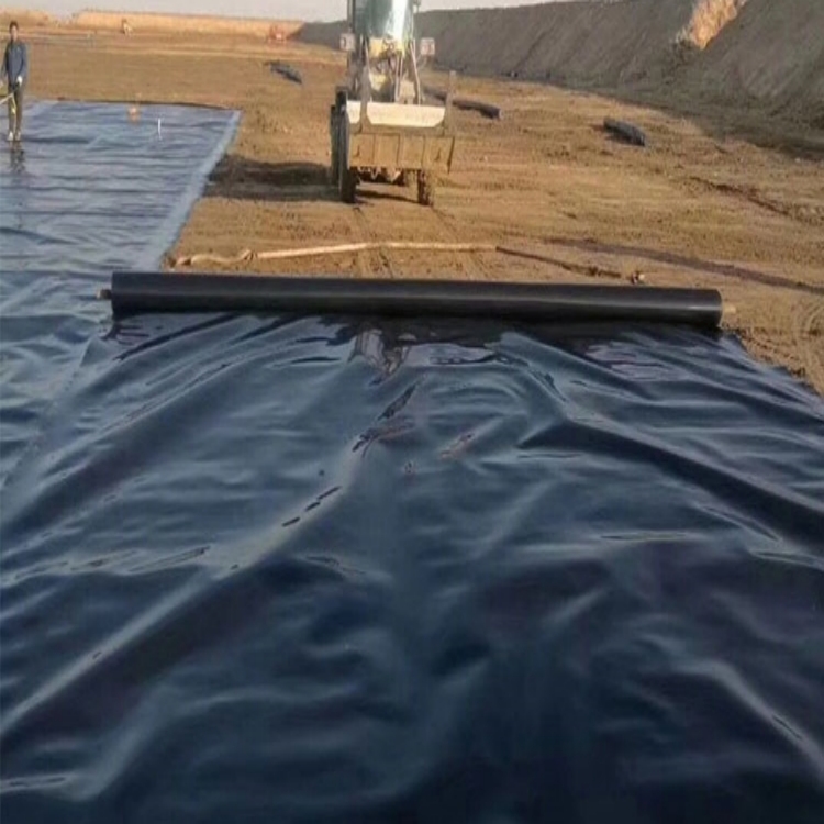 Black High Density Polyethylene EVA Geomembranes for Prefabricated Plastic Pond Liners