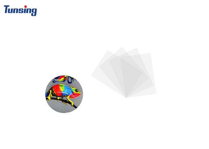 30cm 60cm Heat Transfer PET Film Single-side And Double-side for DTF Printing
