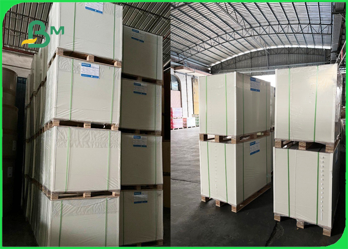  0.53mm PE Coated White Lunch Box Paper For Fried Food 65 x 100cm Greaseproof