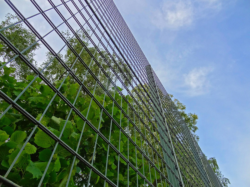 double wire mesh