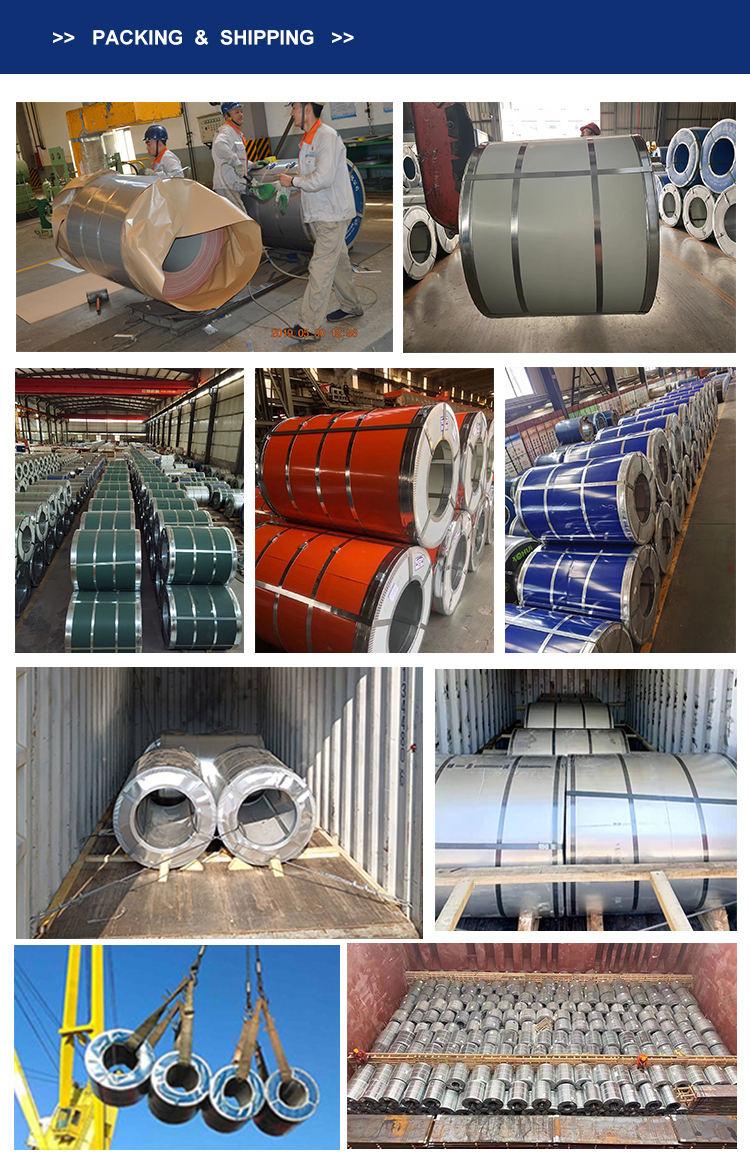 Z121-Z180 Coating PPGI Coils in RAL Color Red Violet Blue Green for Color Coated Steel Coil Ppgi
