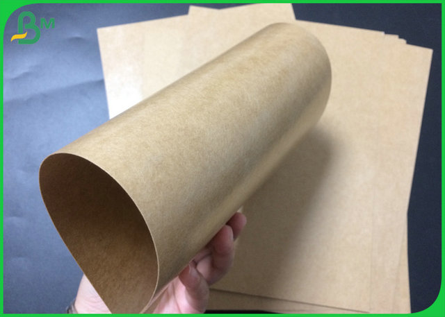 Food Grade Poly Coated Kraft Paper Roll 300gsm 350gsm To Food Tray Making 