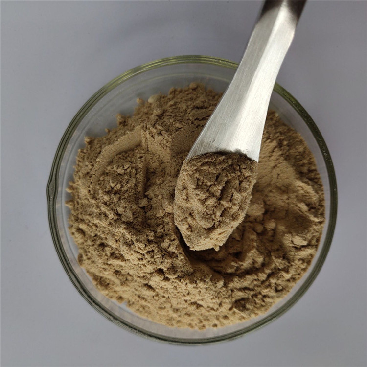 gmp appetite suppressant green coffee bean extract in bulk