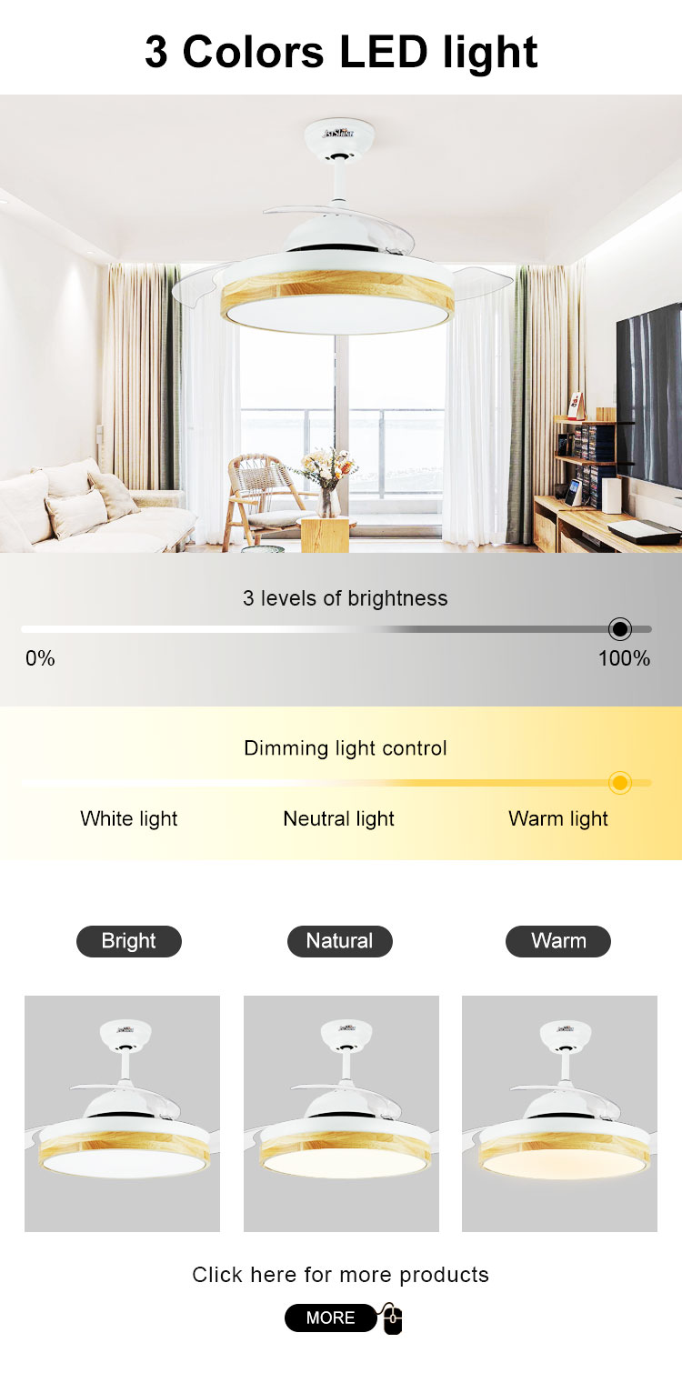 Modern Design Metal Acrylic LED Ceiling Fan with Hidden Blade and Color Crystal Light