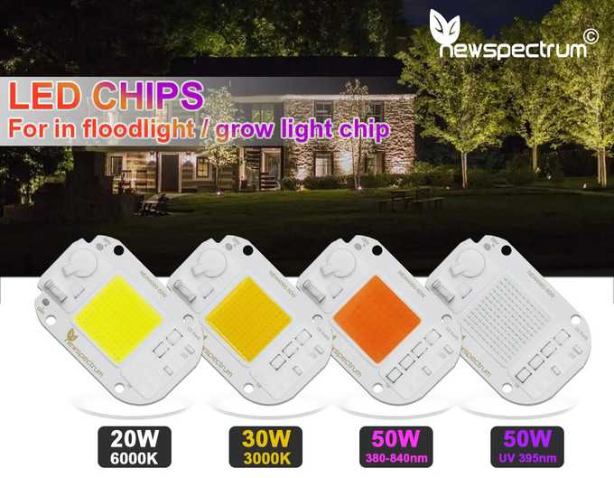 AC220V 240V LED COB Lamp Chip Driverless For Flood Light Led Bulb Spotlight
