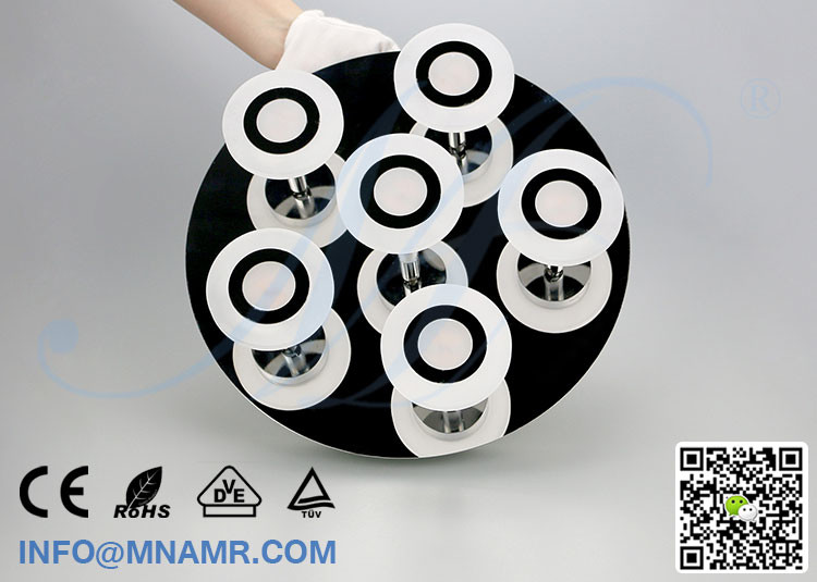 Wholesale 30W Decorative LED Ceiling Light Lamp for Hotel Room Bedroom Kitchen Living Room Use