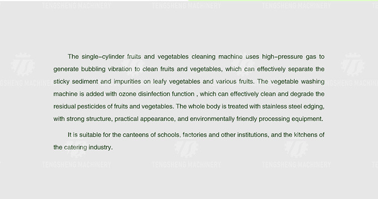 85KG 0.55KW Small vegetable does not cover an area of fruit and vegetable ozone washing machine hot washing machine