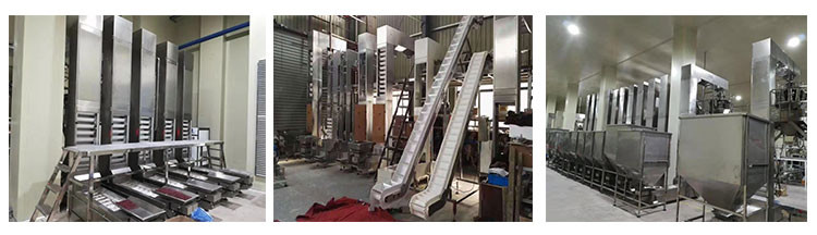 Vegetable Fruit Frozen Food Inclined Conveyor Automatic Belt Chain Conveying