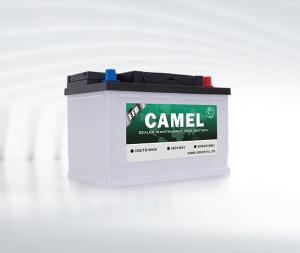 China MF Camel 12v 40ah Lead Acid Battery EFB Automotive Car Stop Start Battery on sale