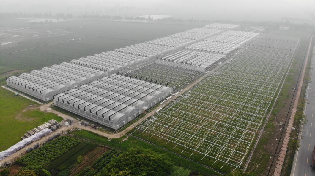 Agriculture Poly Tunnel100% Blackout Automatic Light Deprivation Greenhouse for Canada / USA