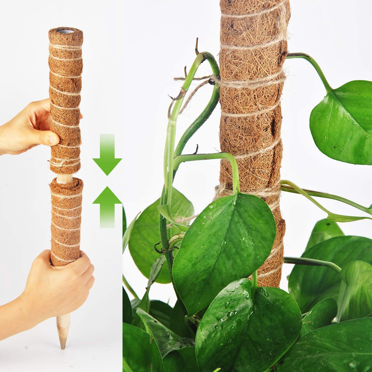 15.7 Inches Natural Colored Plant Poles Coconut Coir poles Moss Pole for Plants Climbing and Supporting
