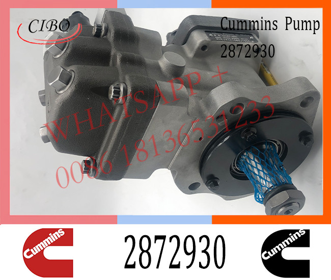 Diesel Engine Parts Fuel Injection Pump 2872930 3973228 4921431 2872191 For Cummins ISLE