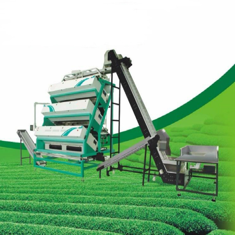 High Capacity High Accuracy Tea Color Sorter Machine Four Layer CCD Tea Color Sorter