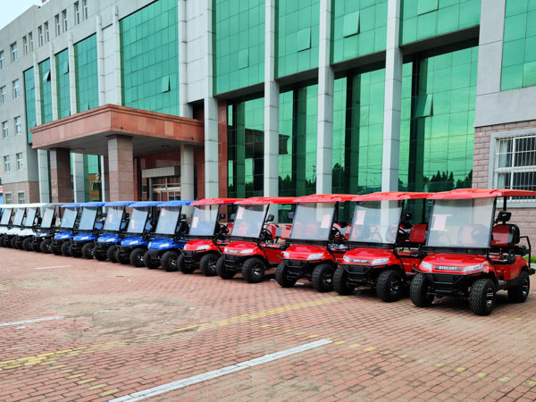 1000kg 100km Passenger Limo Golf Cart Custom