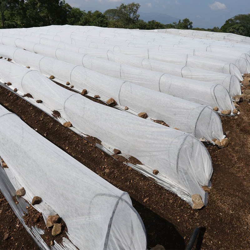 40gram White 3% UV Frost Landscape Spunbond Non Woven Fabric For Protecting Crops