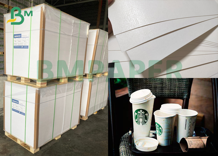 pe coated cupstock paper