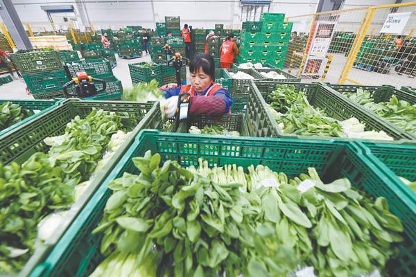 Foldable Mesh Crates For Vegetable Collapsible Plastic Shipping Crates 600x400x52mm
