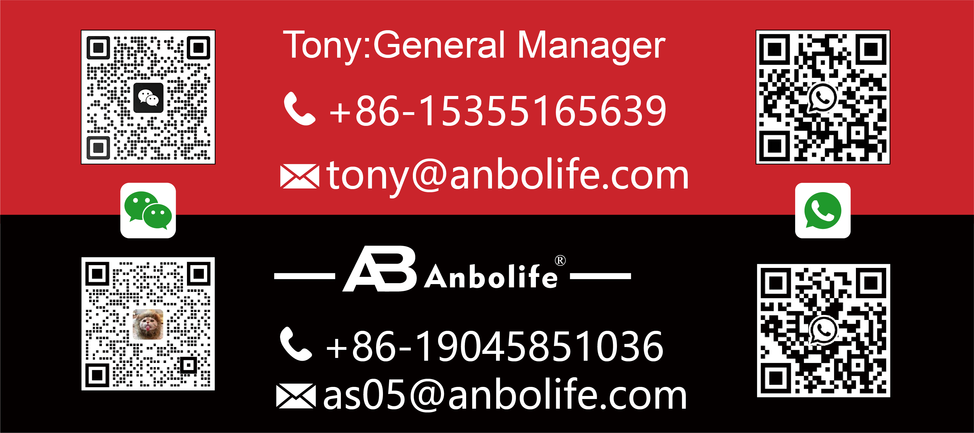 Anbo 20 Bar High Pressure Coffee And Expresso Machine Household
