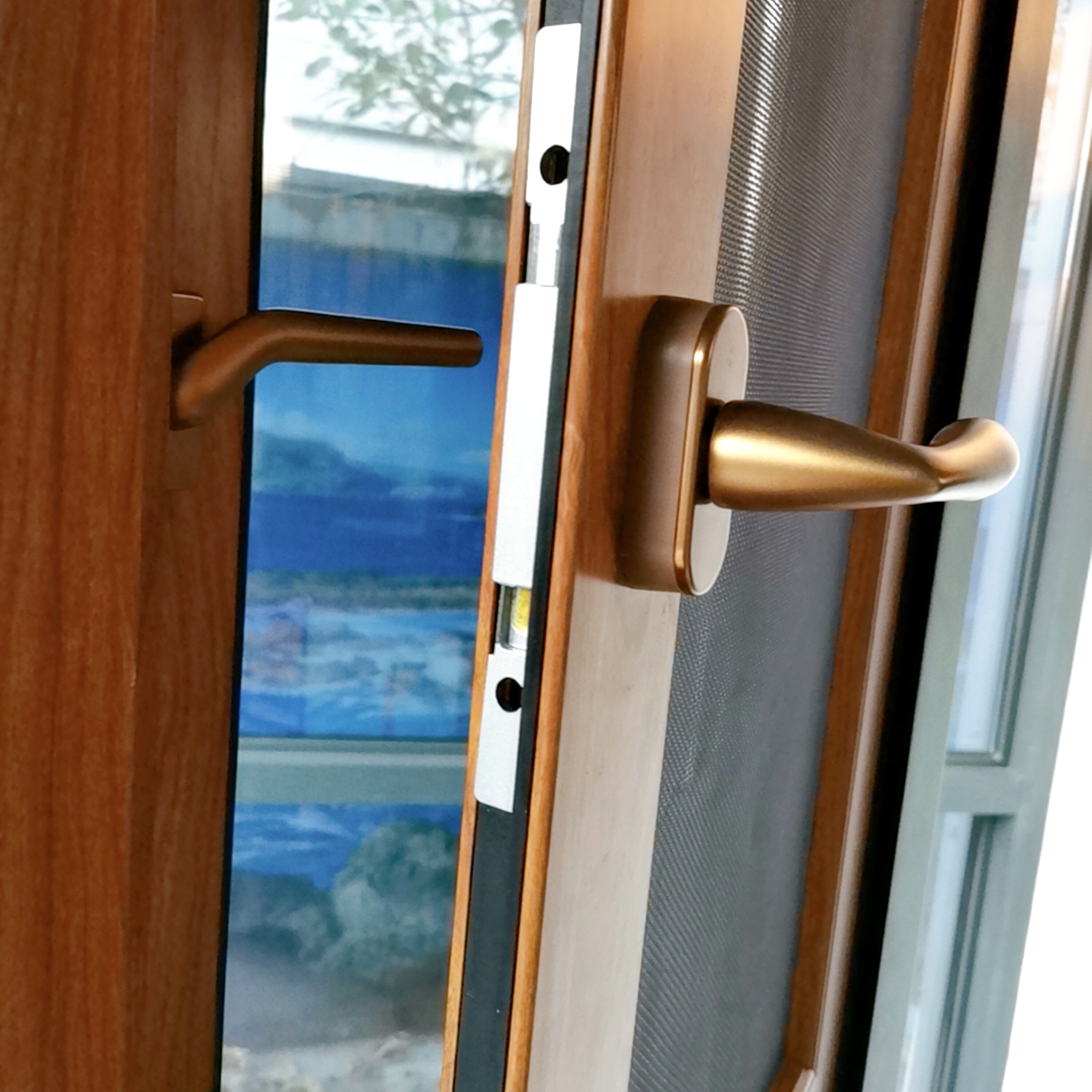 Double Swing Interior Casement Window Door Wood Look UPVC