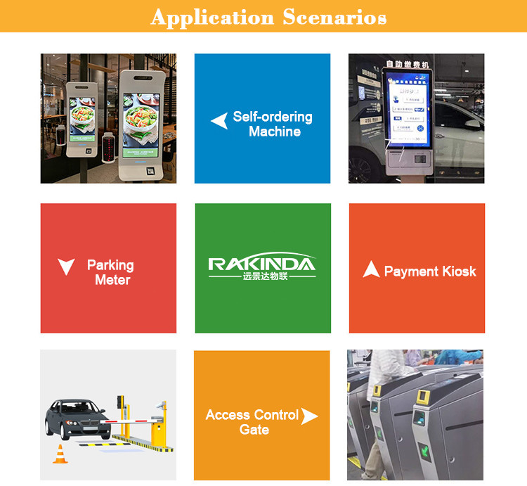 RD4500L Long Distance Barcode Scanner Module For Parking Lot