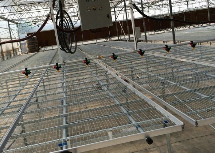 Diy Commercial Greenhouse Rolling Benches Galvanized Steel Mesh For Orchid Nursery Flowers Irrigation