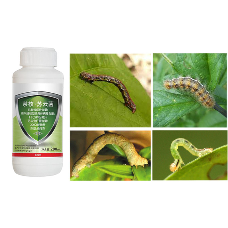 Tea Plant Organically Approved Pesticides Chemical Spray EoNPV Nuclear Polyhedrosis Virus