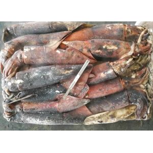 Buy cheap Whole Round Frozen Giant Squid product