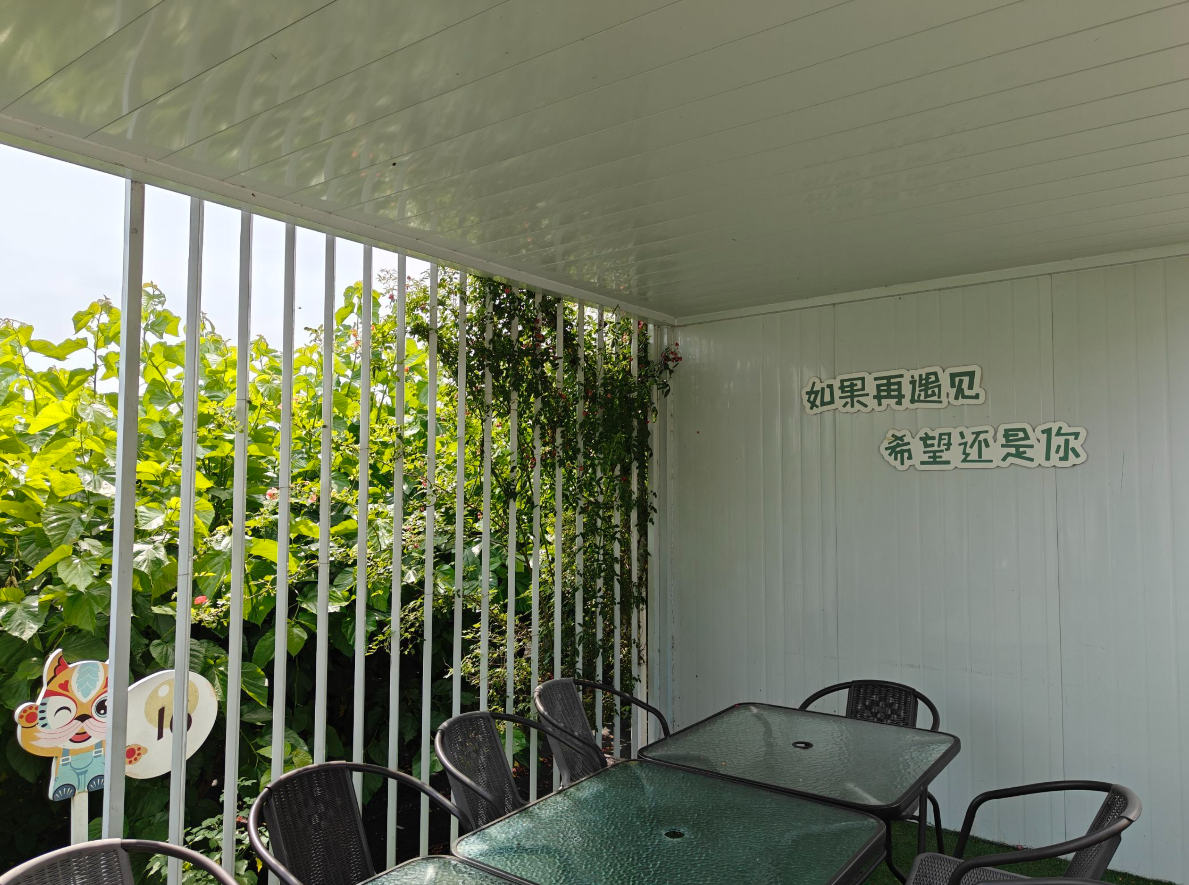 Premade Team Building Area Folding Portable Container House Easy Employment Quick Assembly