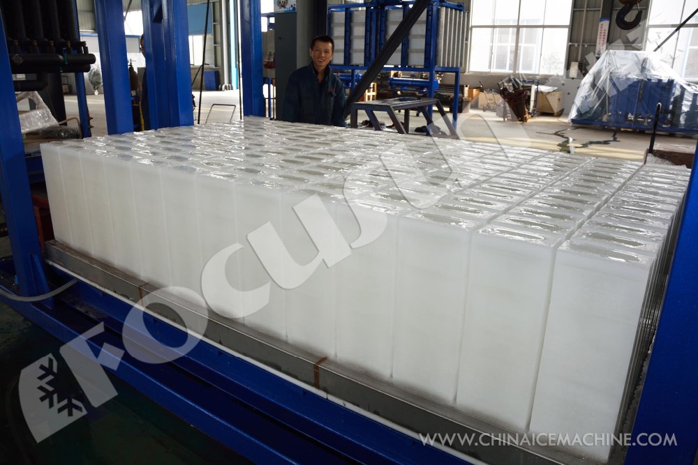 Fast Cooling Direct System Block Ice Machine 10 Ton Daily Capacity with Bitzer Compressor