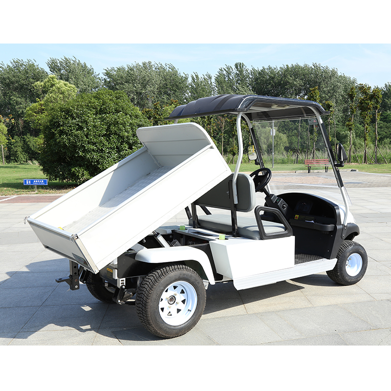 Support OEM Electric Golf Cart with Rear Basket Bed and 2 4 6 Passenger Utility Vehicle Buggy Minimum Grand Clearance 150-200mm