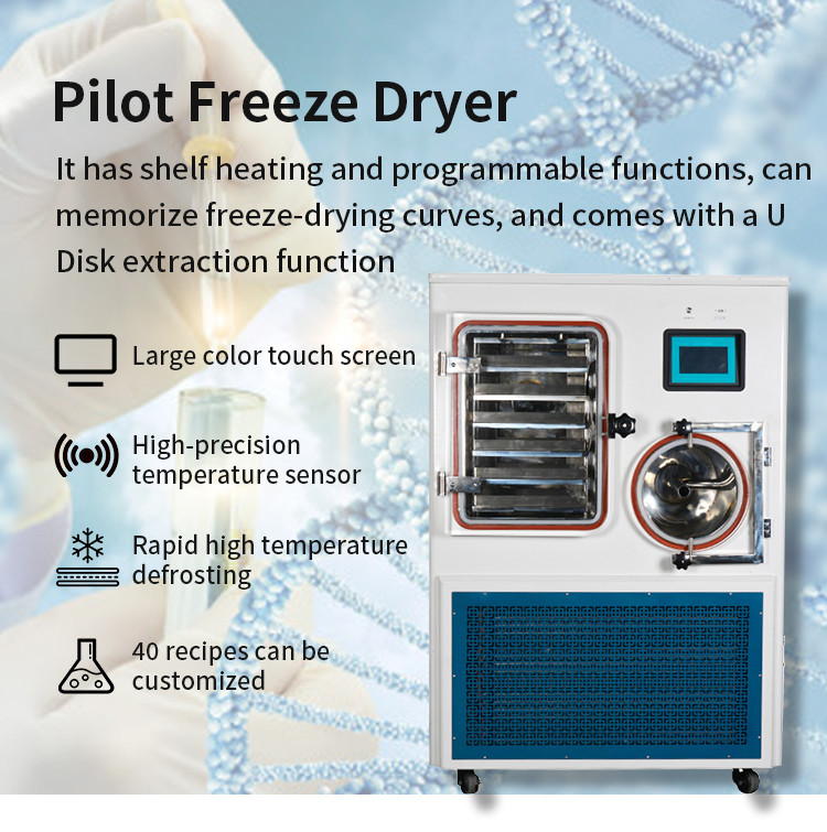 Lanphan Large Capacity Medical Laboratory Pilot Freeze Dryer Price