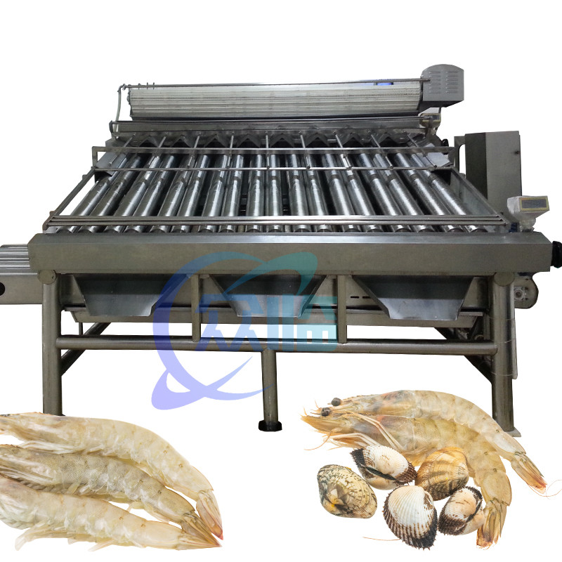ISO 1500KG Seafood Sorting Machine , Multifunctional Fish Size Sorter