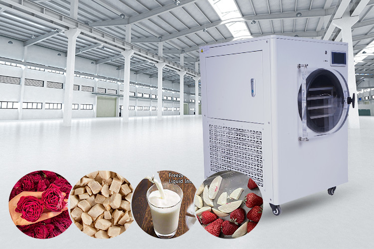 4Kg 6Kg 10Kg Compact PLC Controlled Mini Freeze Dry Machine