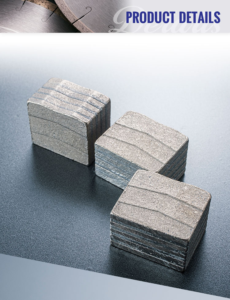 Global Market Diamond Grinding Disc Wheel Sintered Segment for Strong Slabs Grinding