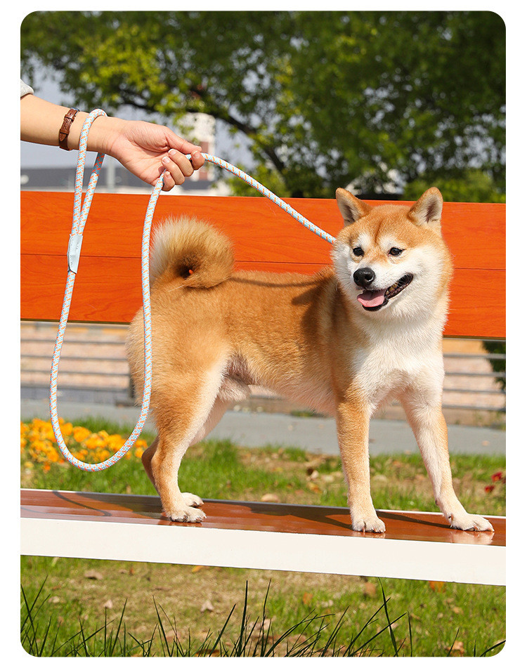 Pets Nylon Sturdy And durable Leash High Quality Traction Rope For Dog And Cat