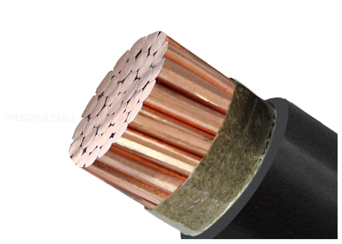 Low Voltage XLPE Insulated Fire Proof Cable PVC Sheathed Copper Conductor