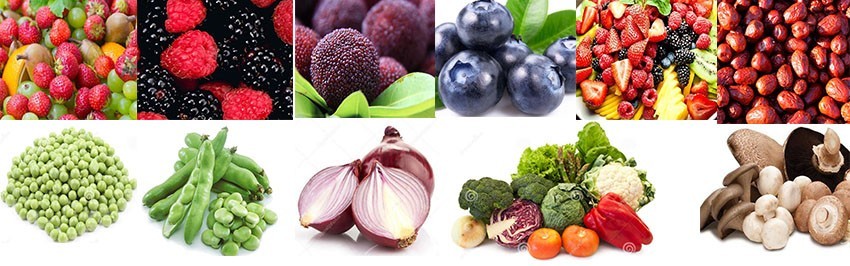 Vegetable Fruit Frozen Food Inclined Conveyor Automatic Belt Chain Conveying
