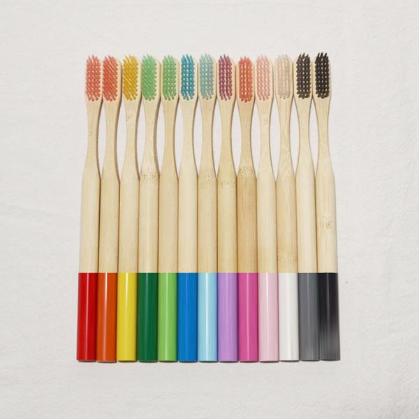 Portable Extra Soft Bristle Bamboo Toothbrush 100 Percent Biodegradable