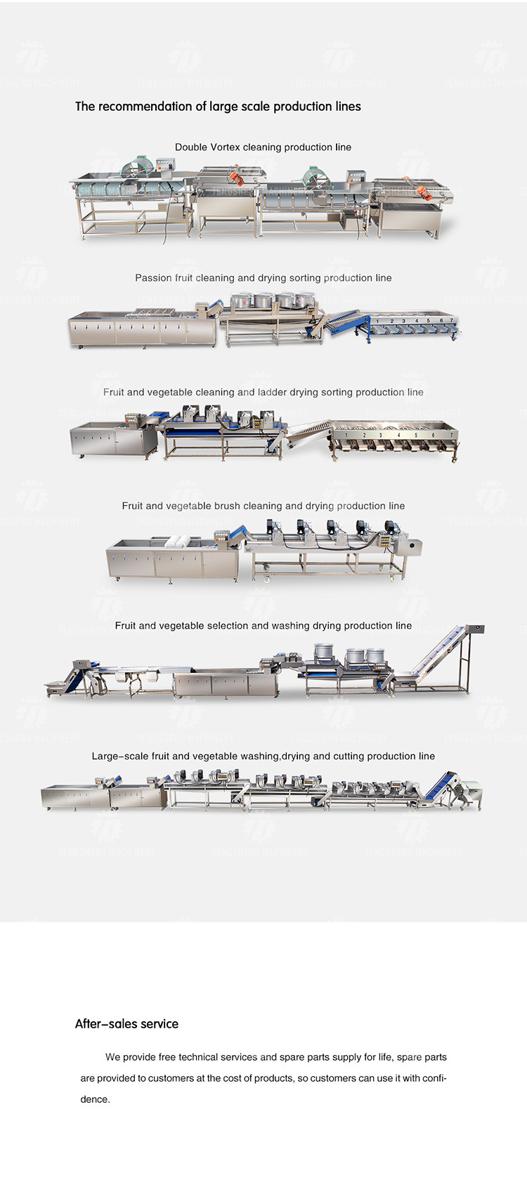 SS304 Fruit And Vegetable Processing Line For Central Kitchens