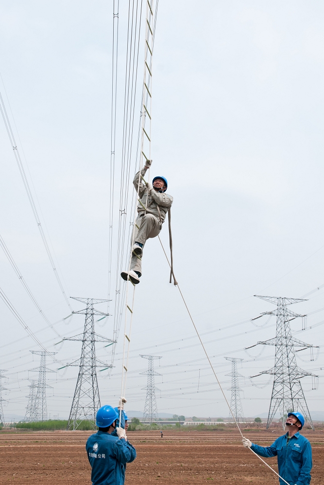 Electric Traction Rope 4mm Diameter Braided PP Rope for Tough Conditions
