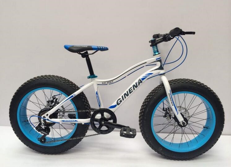 Private Label Snow Sand 4.0 Fat Tyre Electric Bicycle
