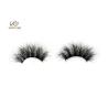 Buy cheap Reuse 35 times Flying Shape 3D Dramatic Fake Eyelashes from wholesalers