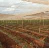 Buy cheap HDPE 5000S Agriculture Insect Net 50m 100m UV Resistant from wholesalers
